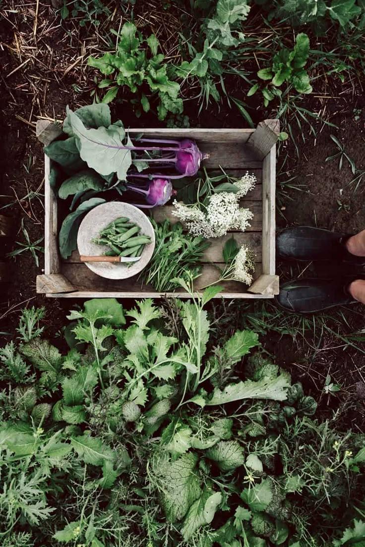 Garden Patch Medley: Fresh Picked Variety